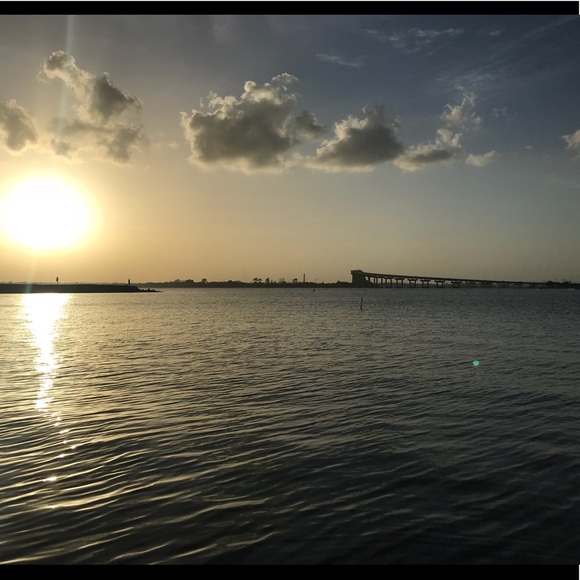 Meet your Posher, Sage - Picture 1 of 1